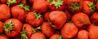 FRUTAS