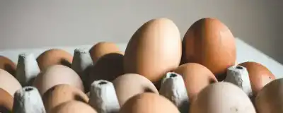 HUEVOS