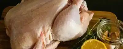 POLLO