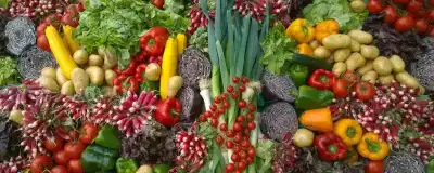 VERDURAS Y HORTALIZAS